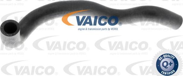 VAICO V10-4653 - Шланг радіатора autozip.com.ua