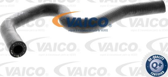 VAICO V10-4669 - Шланг радіатора autozip.com.ua