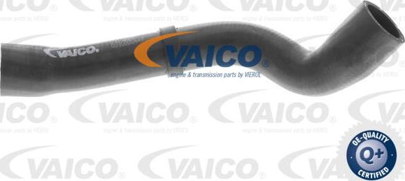 VAICO V10-4667 - Шланг радіатора autozip.com.ua