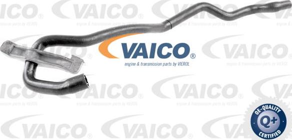 VAICO V10-4679 - Шланг радіатора autozip.com.ua