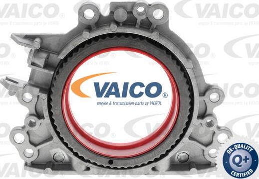 VAICO V10-4859 - Ущільнене кільце, колінчастий вал autozip.com.ua