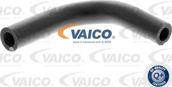 VAICO V10-4851 - Шланг, вентиляція картера autozip.com.ua