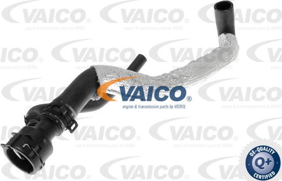 VAICO V10-4863 - Шланг радіатора autozip.com.ua