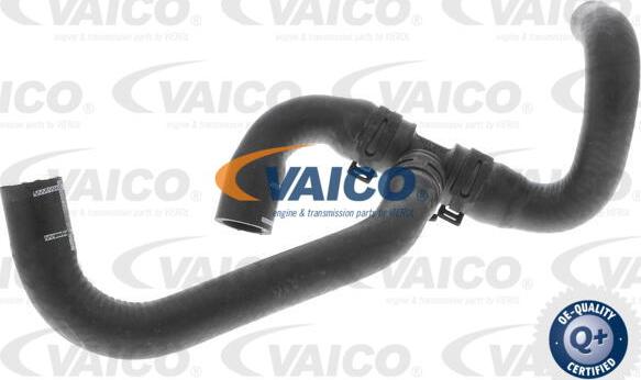 VAICO V10-4777 - Шланг радіатора autozip.com.ua