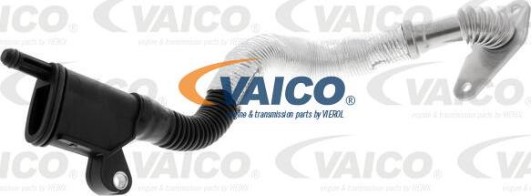 VAICO V10-5459 - Шланг, вентиляція картера autozip.com.ua