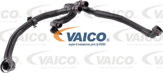 VAICO V10-5458 - Шланг, вентиляція картера autozip.com.ua