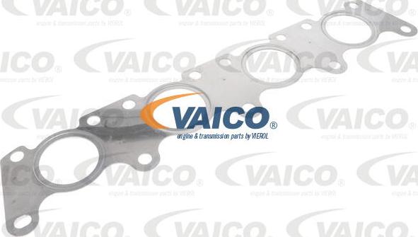 VAICO V10-5094 - Прокладка, випускний колектор autozip.com.ua