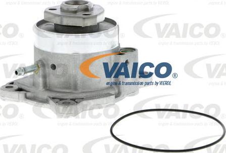 VAICO V10-50081 - Водяний насос autozip.com.ua