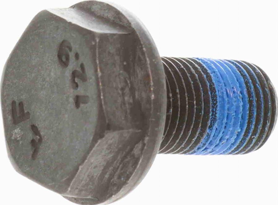 VAICO V10-5834 - Болт маховика autozip.com.ua