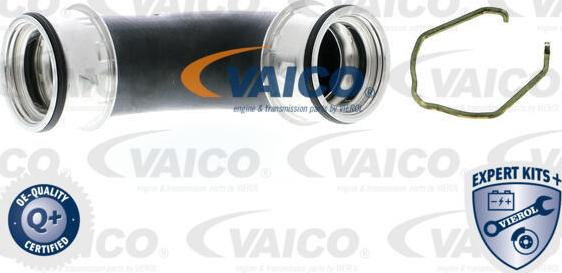 VAICO V10-5305 - Трубка нагнітається повітря autozip.com.ua