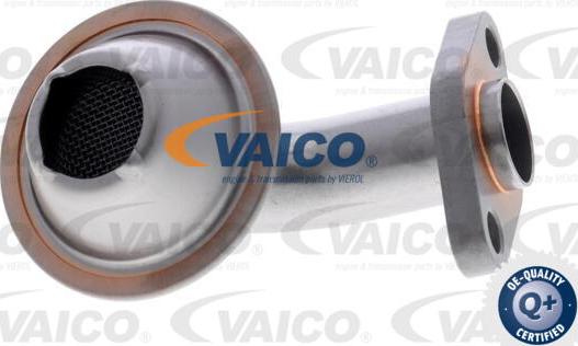 VAICO V10-6986 - Впускная труба, масляний насос autozip.com.ua