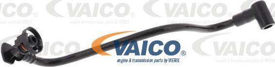 VAICO V10-6642 - Шланг, вентиляція картера autozip.com.ua