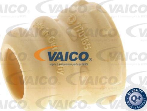 VAICO V10-6029 - Відбійник, буфер амортизатора autozip.com.ua