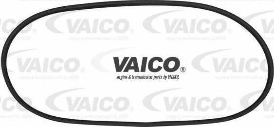 VAICO V10-0891 - Прокладка, вітрове скло autozip.com.ua