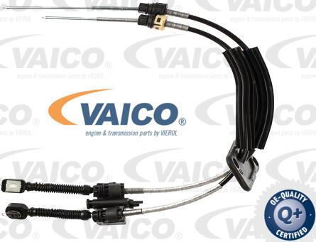 VAICO V10-8063 - Трос, ступінчаста коробка передач autozip.com.ua