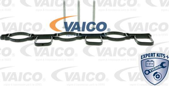 VAICO V10-3948 - Модуль впускний труби autozip.com.ua