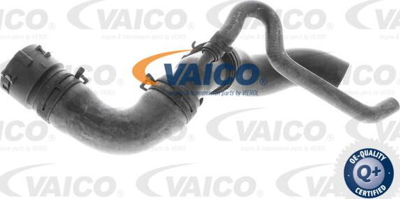 VAICO V10-3915 - Шланг радіатора autozip.com.ua