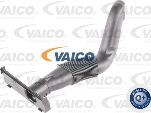VAICO V10-3570 - Впускная труба, підведення повітря autozip.com.ua