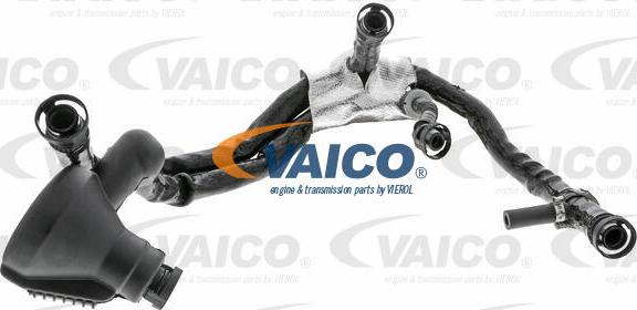 VAICO V10-3695 - Шланг, вентиляція картера autozip.com.ua