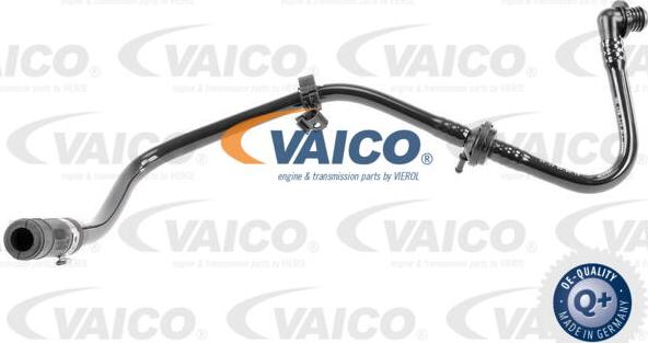 VAICO V10-3607 - Шланг розрідження, гальмівна система autozip.com.ua
