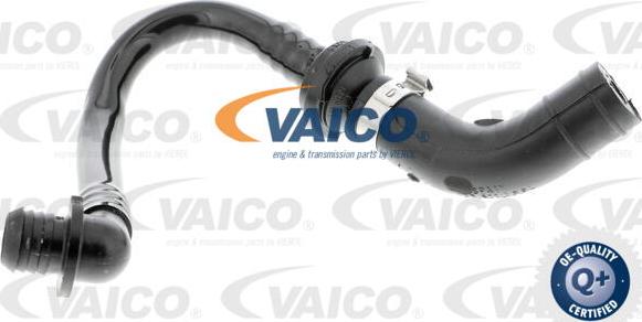 VAICO V10-3612 - Шланг розрідження, гальмівна система autozip.com.ua
