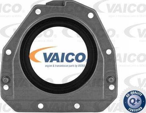 VAICO V10-3685 - Ущільнене кільце, колінчастий вал autozip.com.ua