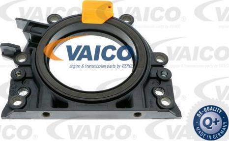 VAICO V10-3686 - Ущільнене кільце, колінчастий вал autozip.com.ua
