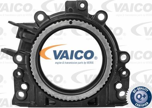 VAICO V10-3680 - Ущільнене кільце, колінчастий вал autozip.com.ua