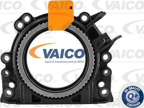VAICO V10-3683 - Ущільнене кільце, колінчастий вал autozip.com.ua