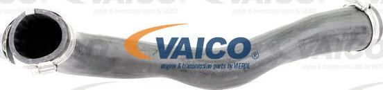 VAICO V10-3817 - Трубка нагнітається повітря autozip.com.ua