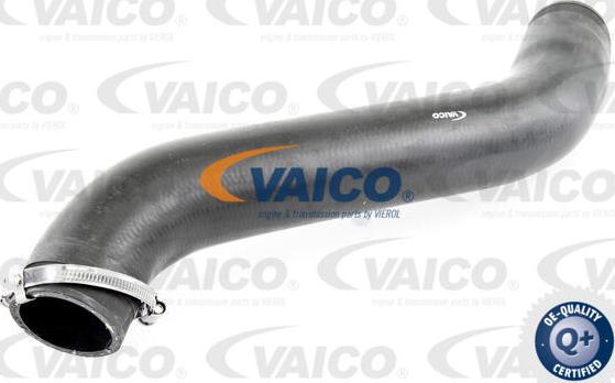 VAICO V10-3781 - Трубка нагнітається повітря autozip.com.ua