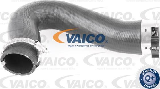 VAICO V10-3782 - Трубка нагнітається повітря autozip.com.ua