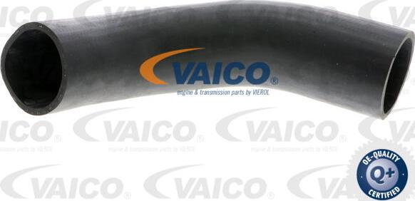 VAICO V10-3779 - Трубка нагнітається повітря autozip.com.ua