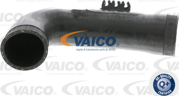 VAICO V10-3771 - Трубка нагнітається повітря autozip.com.ua
