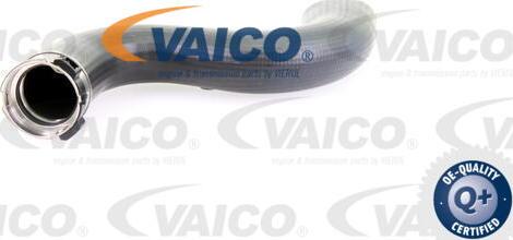 VAICO V10-3778 - Трубка нагнітається повітря autozip.com.ua