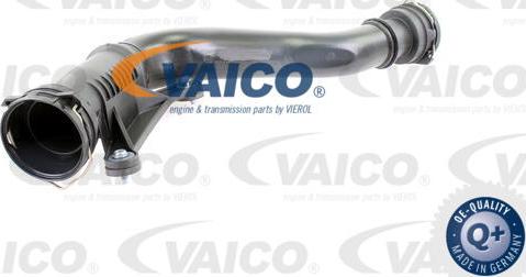 VAICO V10-2506 - Впускная труба, підведення повітря autozip.com.ua