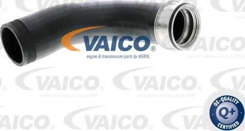 VAICO V10-2699 - Трубка нагнітається повітря autozip.com.ua