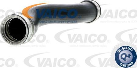 VAICO V10-2698 - Трубка нагнітається повітря autozip.com.ua