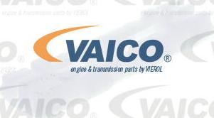 VAICO V10-2063 - Зажим, молдинг / захисна накладка autozip.com.ua