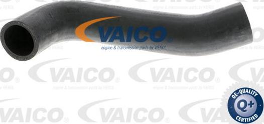 VAICO V10-2844 - Трубка нагнітається повітря autozip.com.ua