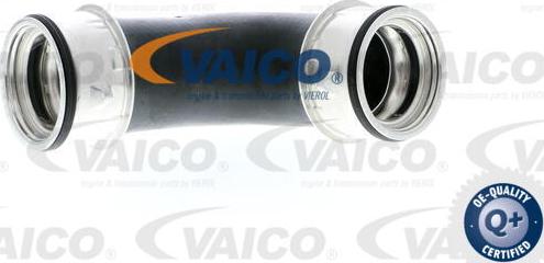 VAICO V10-2862 - Трубка нагнітається повітря autozip.com.ua