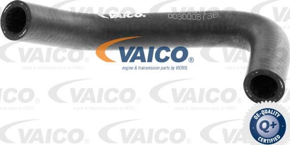 VAICO V10-2814 - Шланг радіатора autozip.com.ua