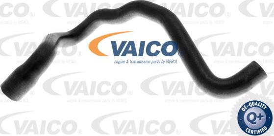 VAICO V10-2810 - Шланг радіатора autozip.com.ua