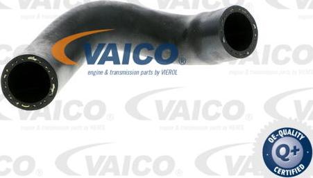 VAICO V10-2880 - Трубка нагнітається повітря autozip.com.ua