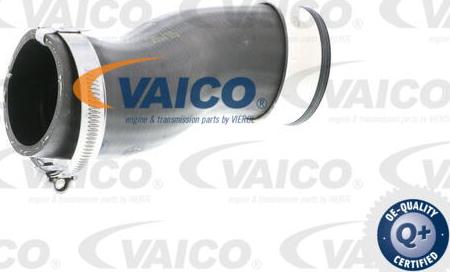 VAICO V10-2836 - Трубка нагнітається повітря autozip.com.ua