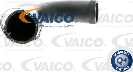 VAICO V10-2830 - Трубка нагнітається повітря autozip.com.ua