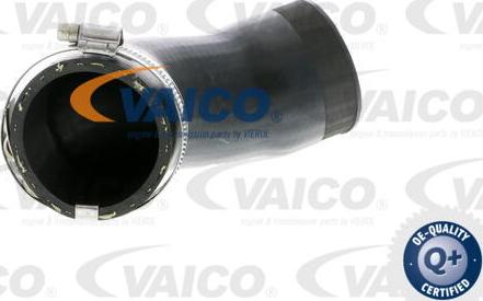 VAICO V10-2831 - Трубка нагнітається повітря autozip.com.ua