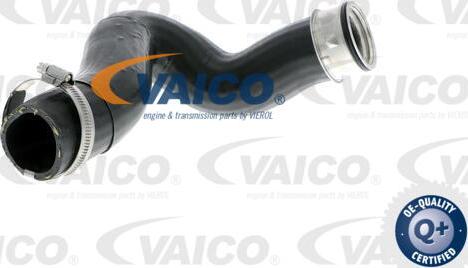 VAICO V10-2837 - Трубка нагнітається повітря autozip.com.ua