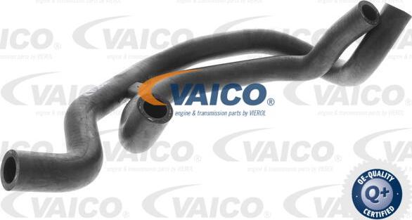 VAICO V10-2821 - Шланг радіатора autozip.com.ua