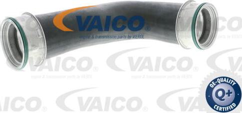 VAICO V10-2871 - Трубка нагнітається повітря autozip.com.ua